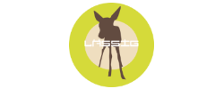 Lassig