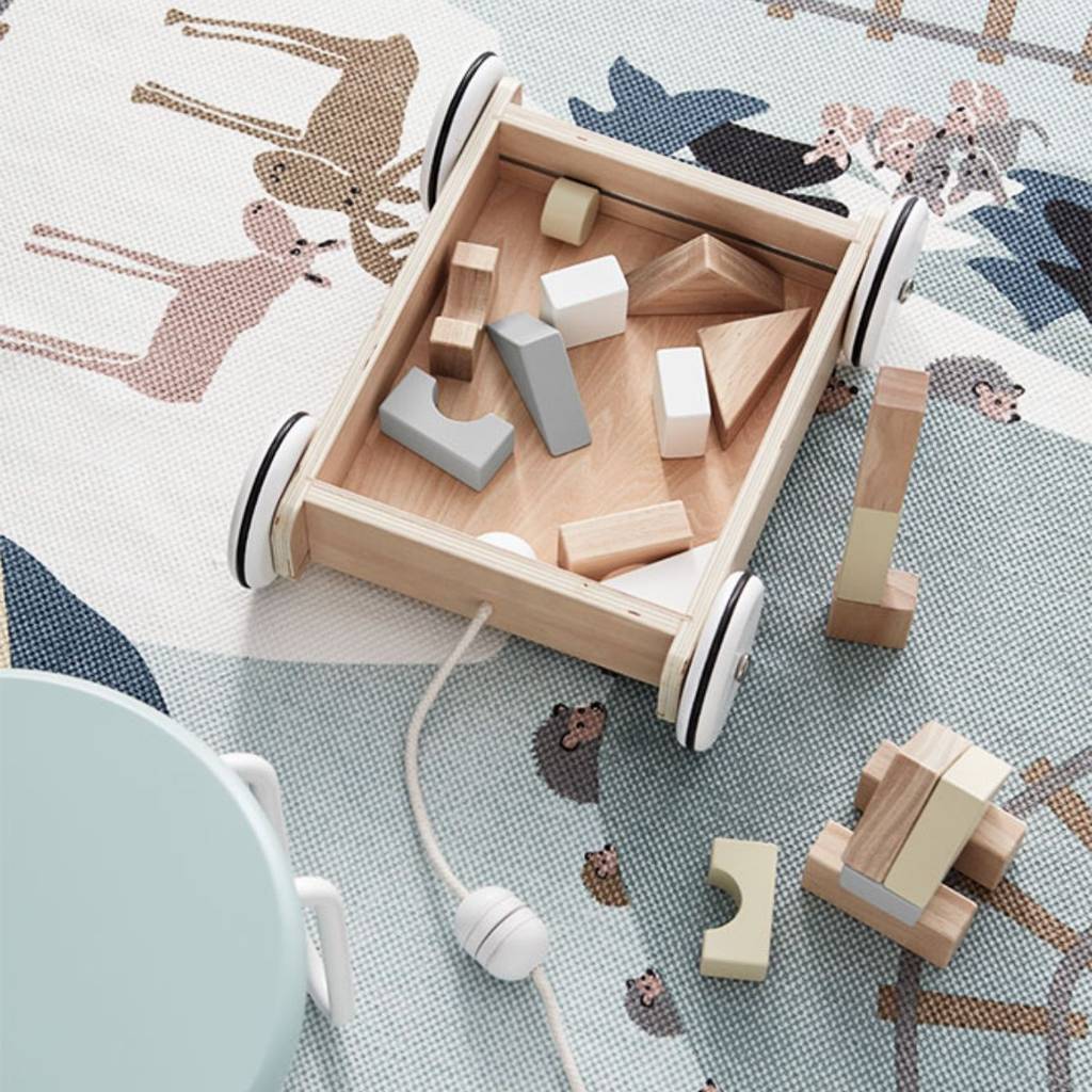 Wagon with Blocks