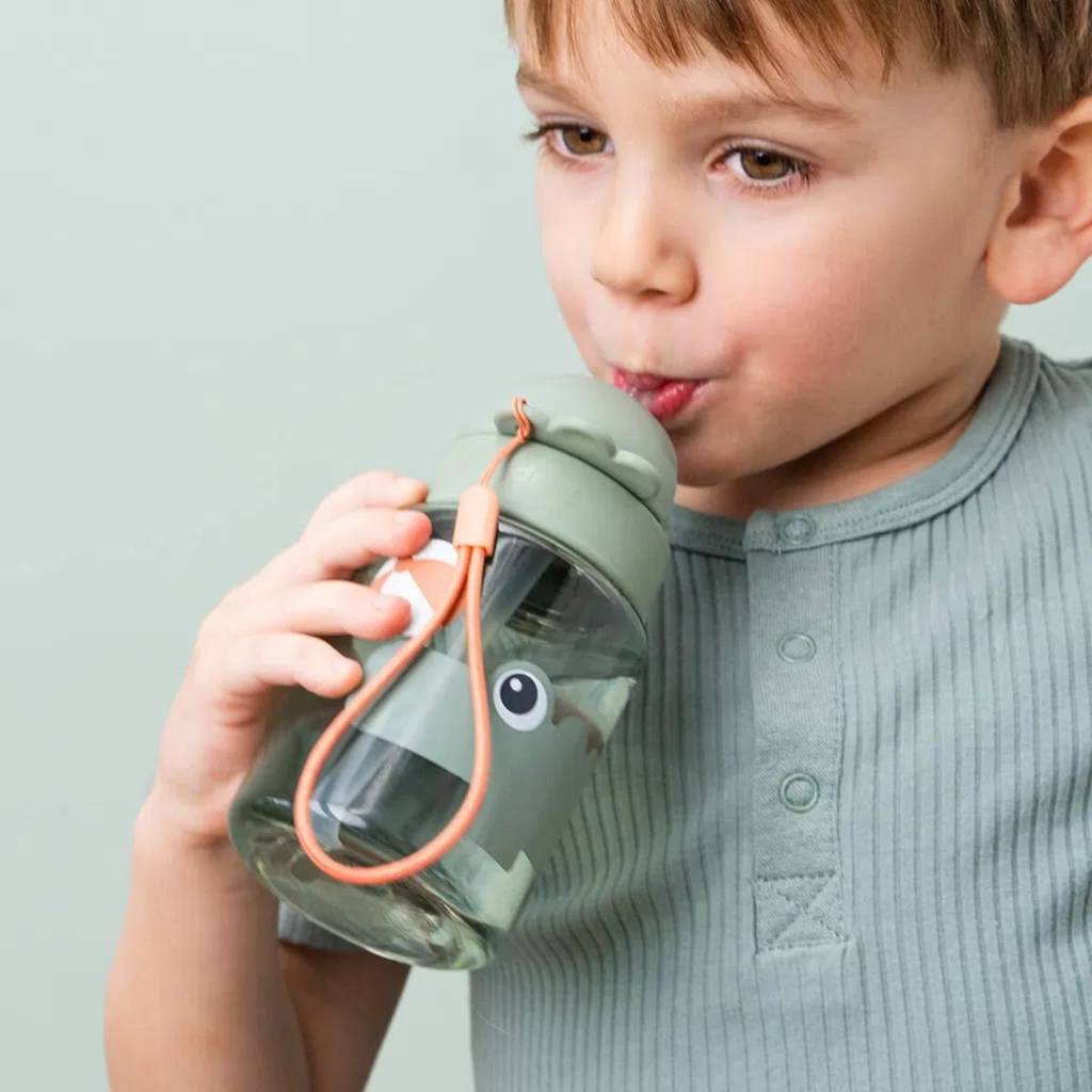 Straw Bottle Playground - 280ml