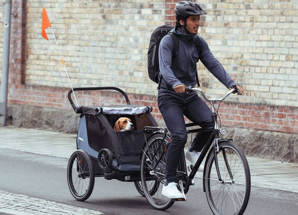 Courier Dog Trailer Kit