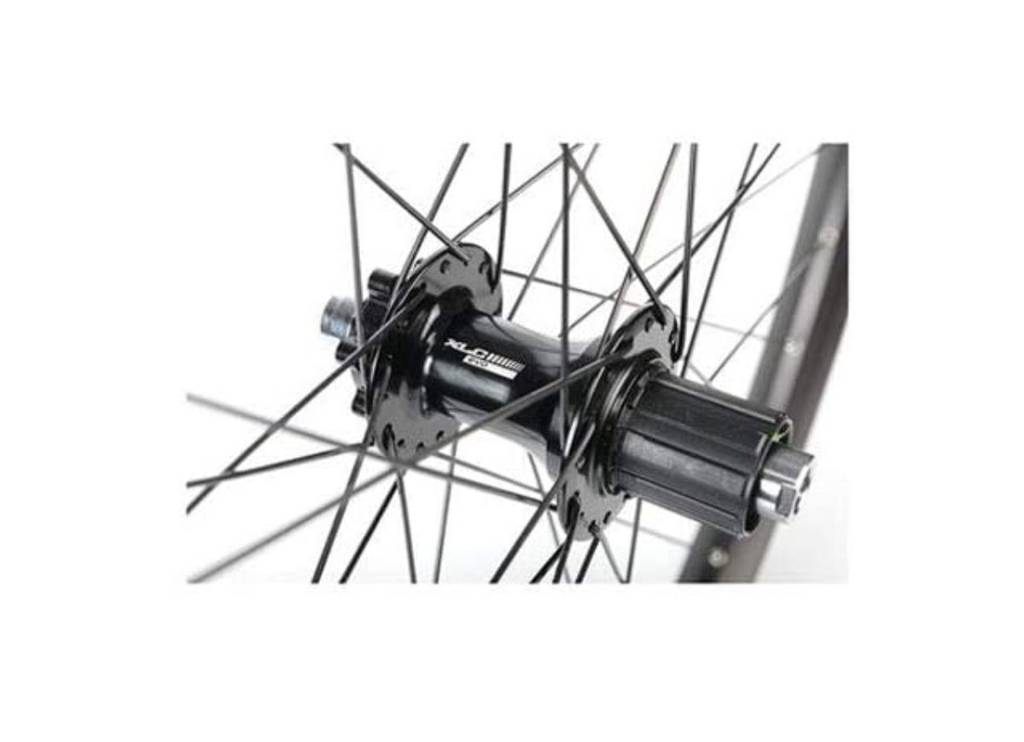 Gjörð aftur 29" Rodi 6-Bolt