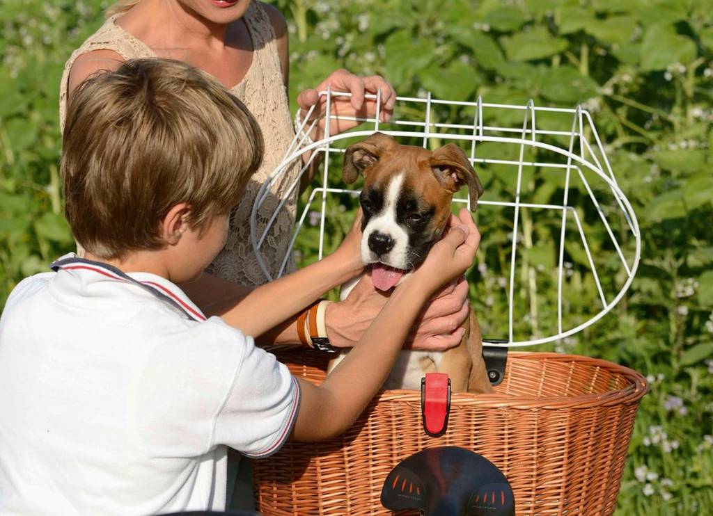 Shopper Doggy Plus