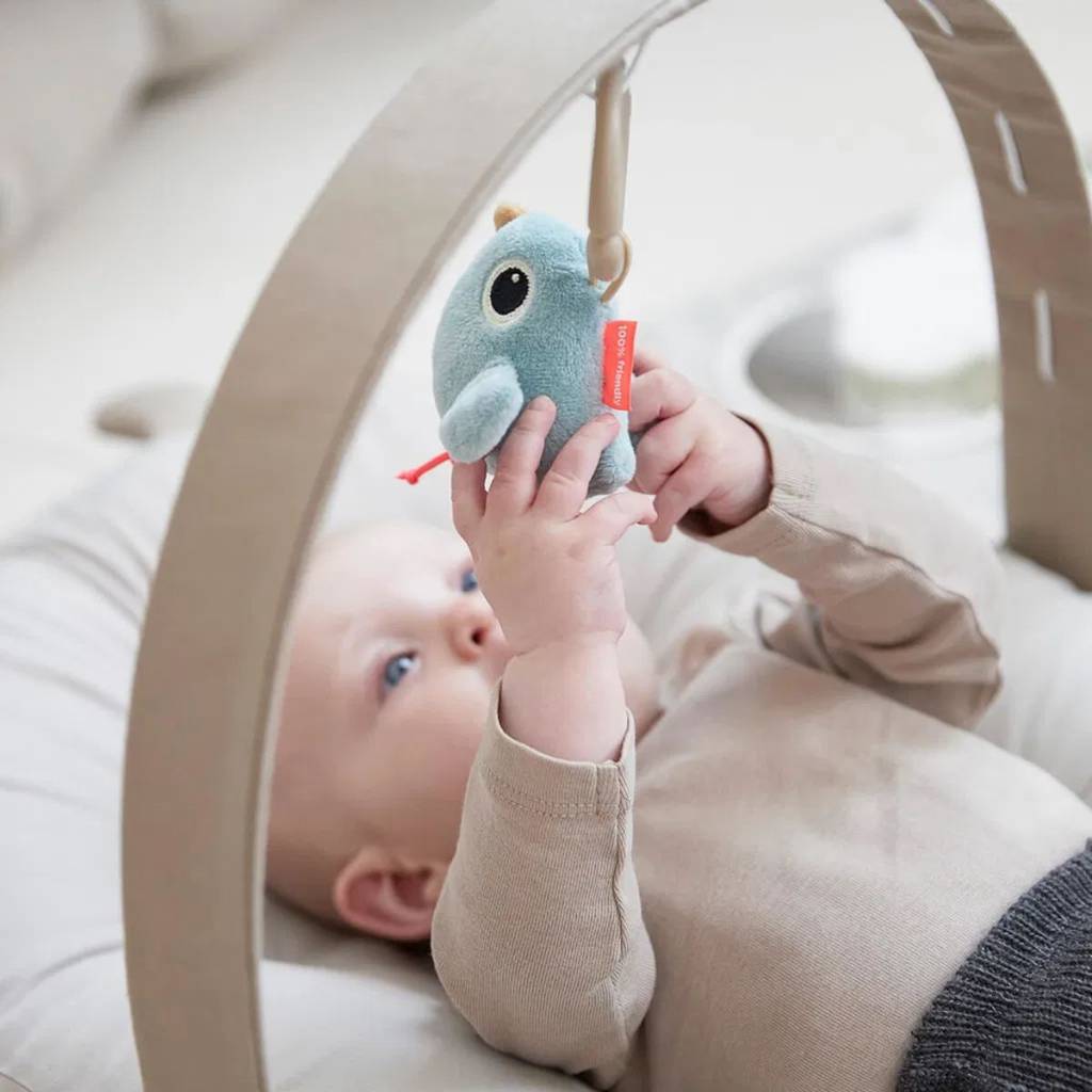 Cozy Lounger w/Activity Arch - Raffi