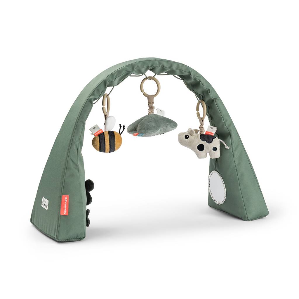 Activity Gym - Tiny farm
