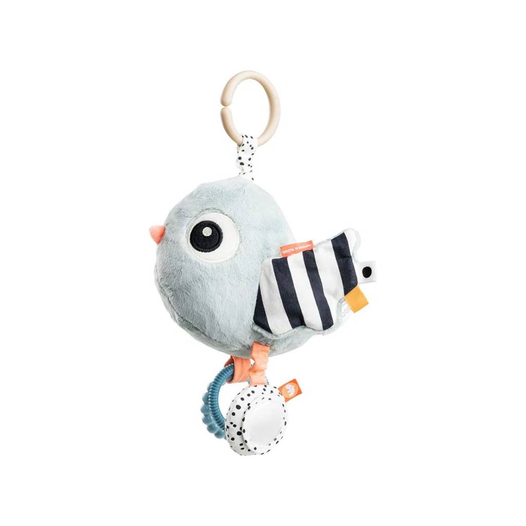 Activity Sensory Toy - Birdee