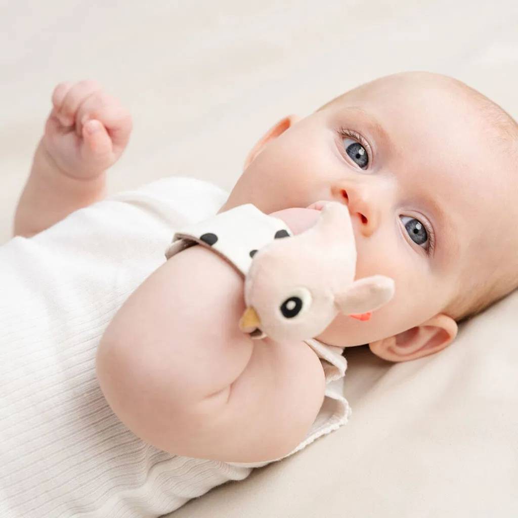 Wrist Rattle Set (2) - Happy Clouds