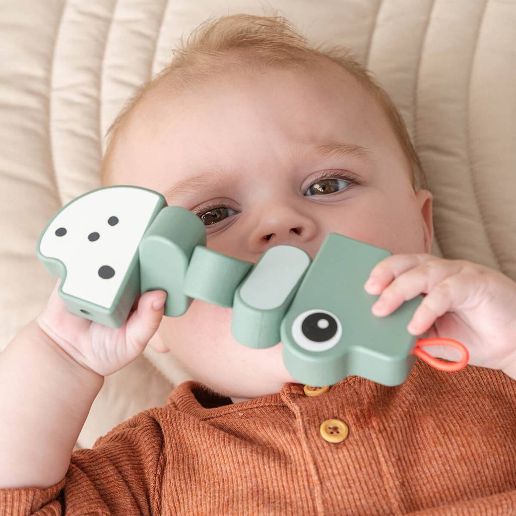 Twist & Turn Toy - Croco Green