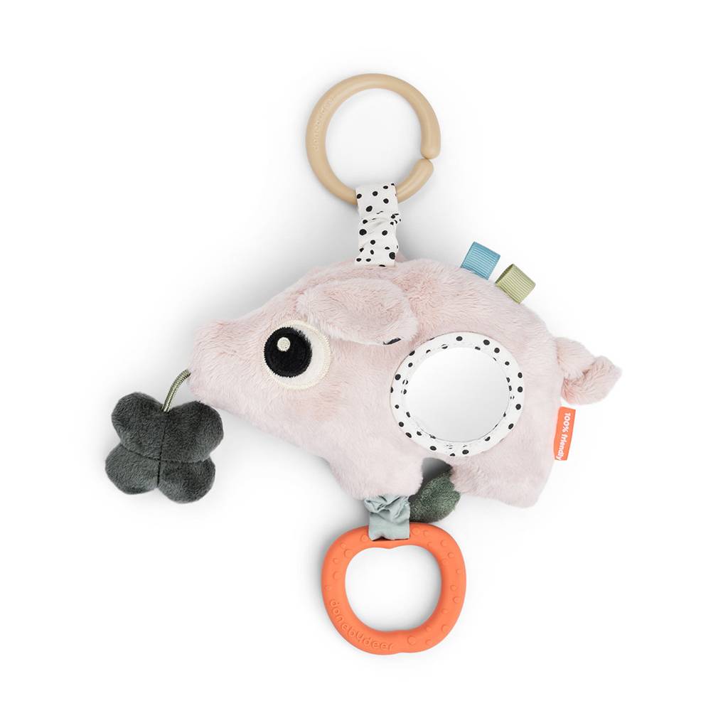 Activity Sensory Toy - Pigee