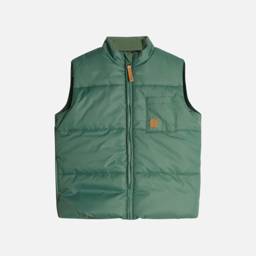 Einar Vest