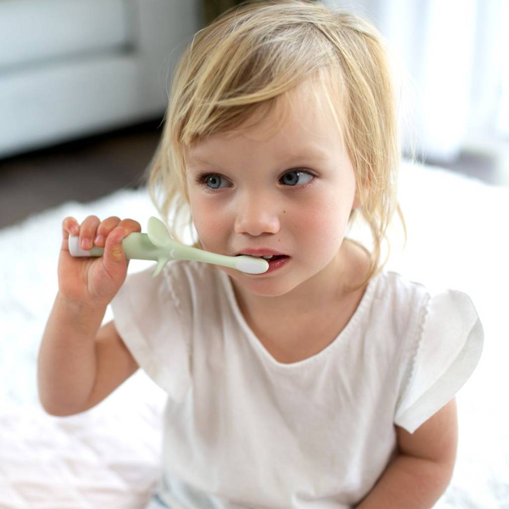 Infant to Toddler Toothbrush