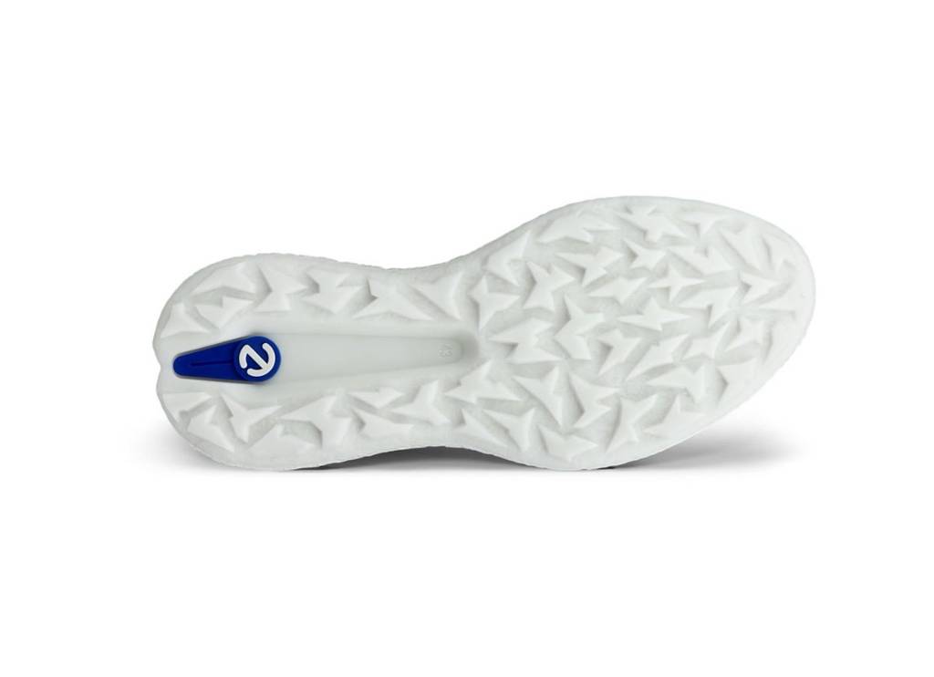 Biom H5 Golfskór