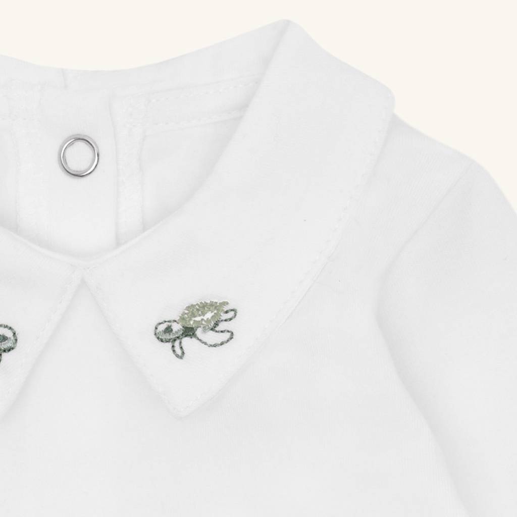 Bam Collar
