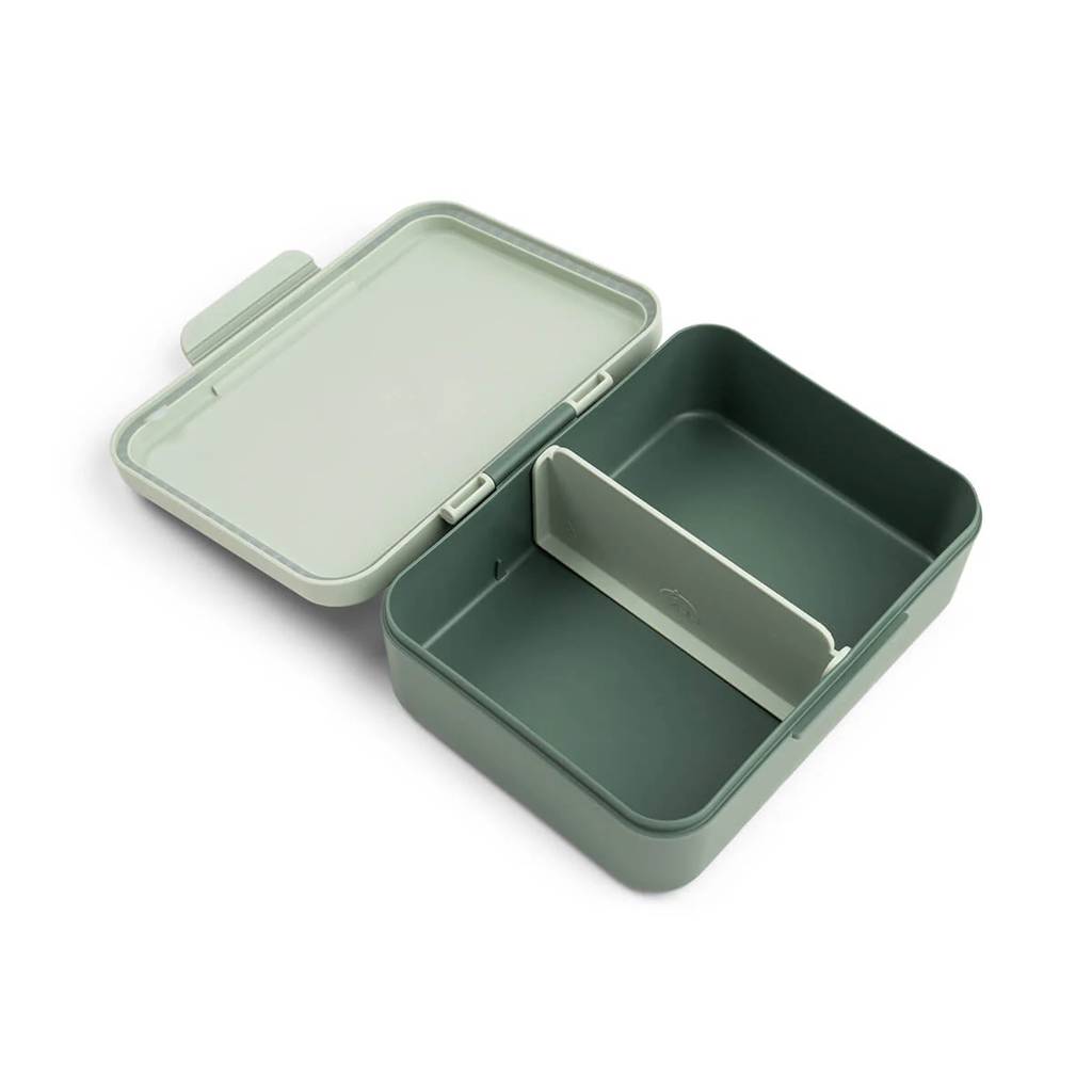 Lunch Box w/div – Tiny Trails