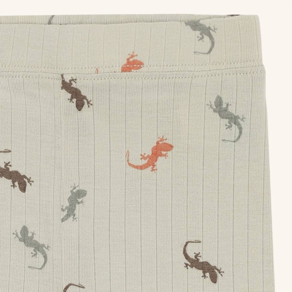 Ludo Lizards
