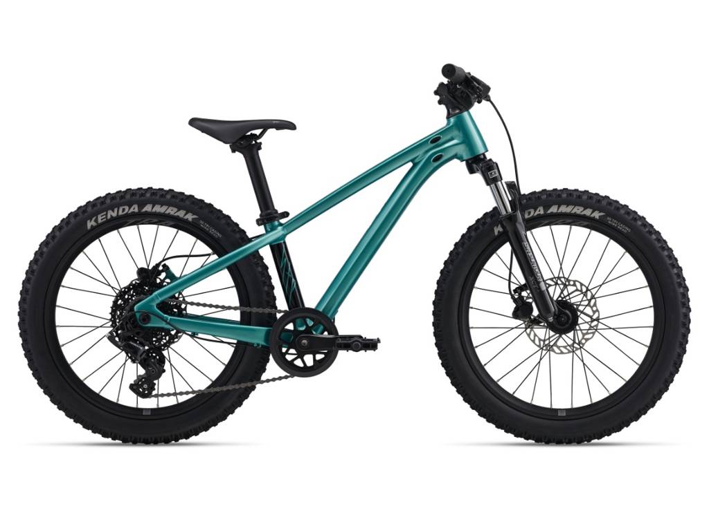 Giant STP 20" FS - Teal 