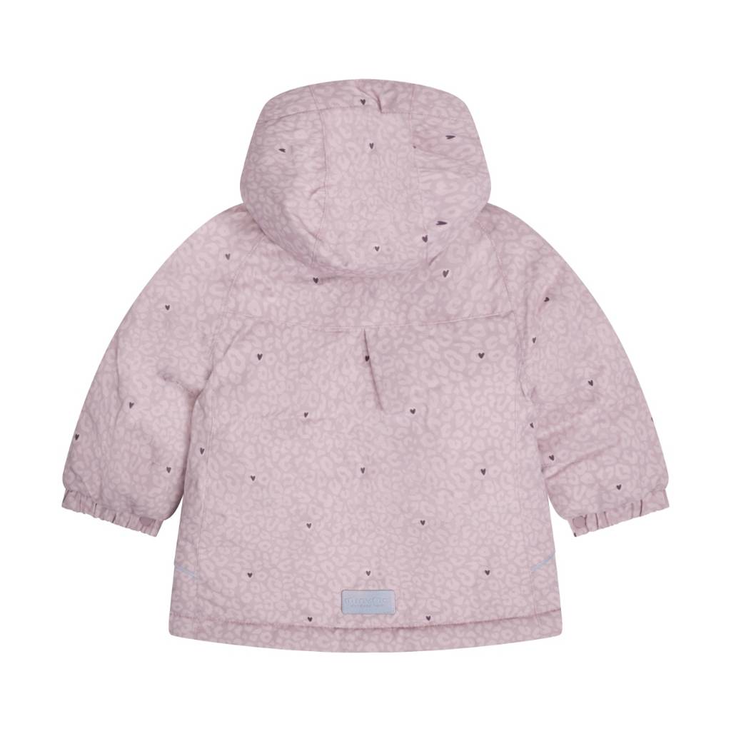 Winter Jacket