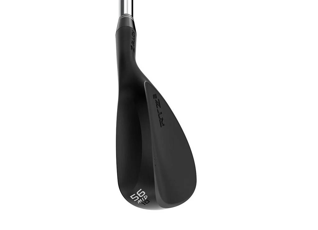 RTZ 2 Black Satin Wedge