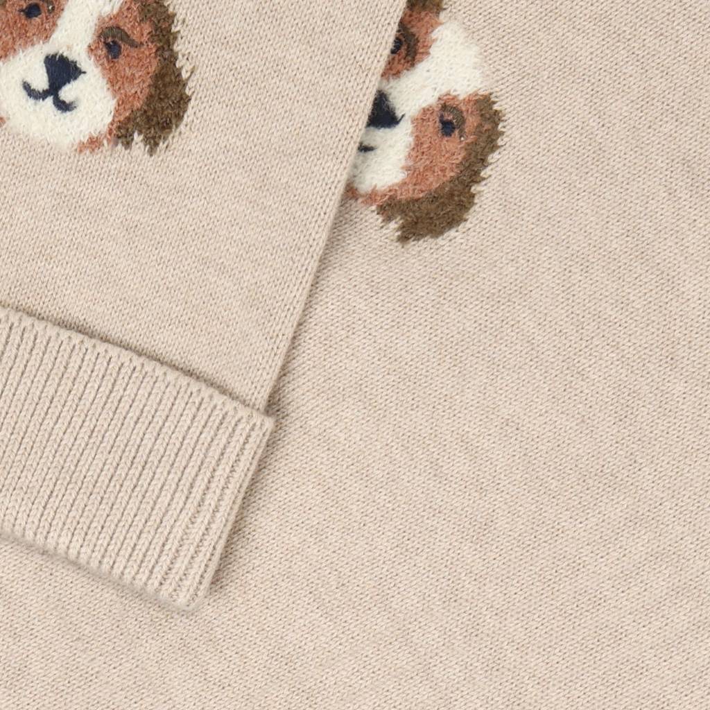 Close-up