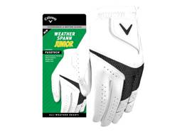 Weather Spann Junior