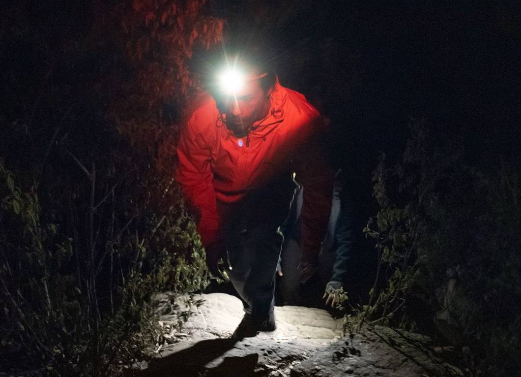 Bandicoot 100 Headlamp