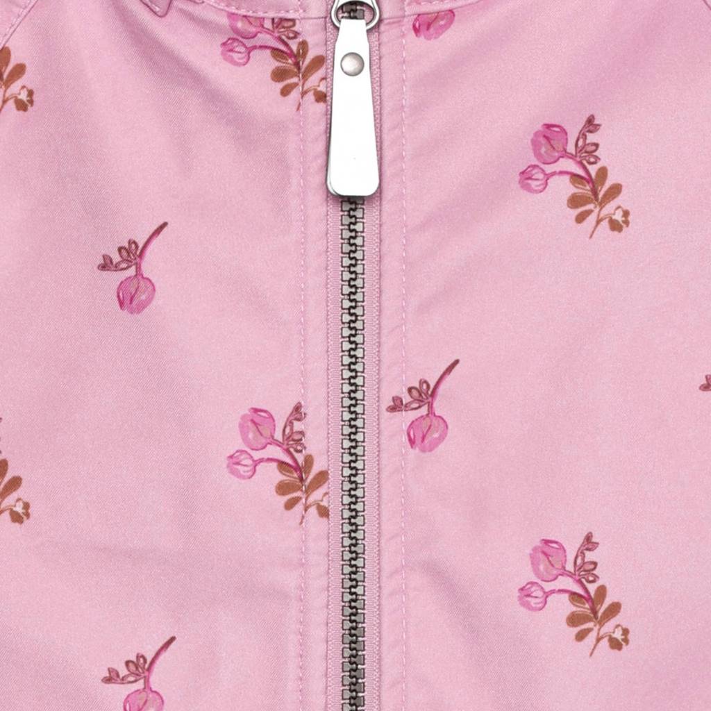 Softshell Jacket