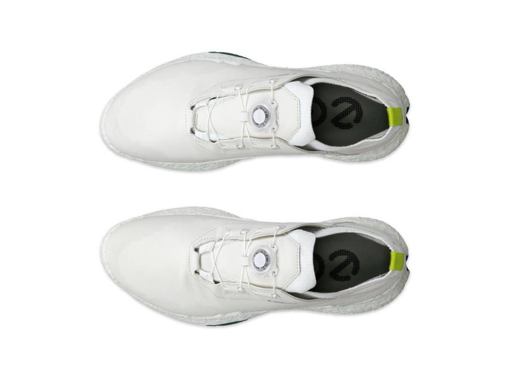 M Biom H5 BOA Leather