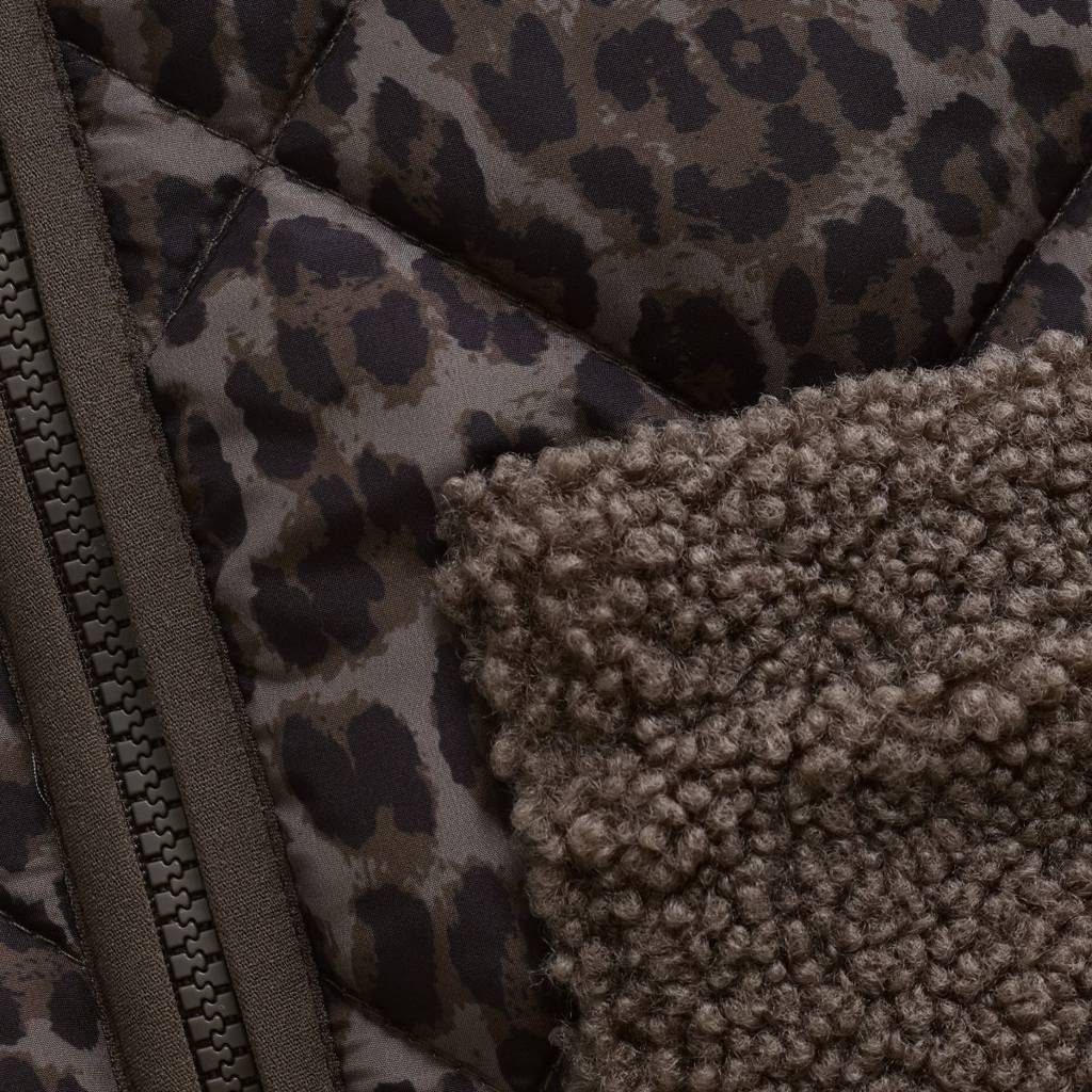 Close-up