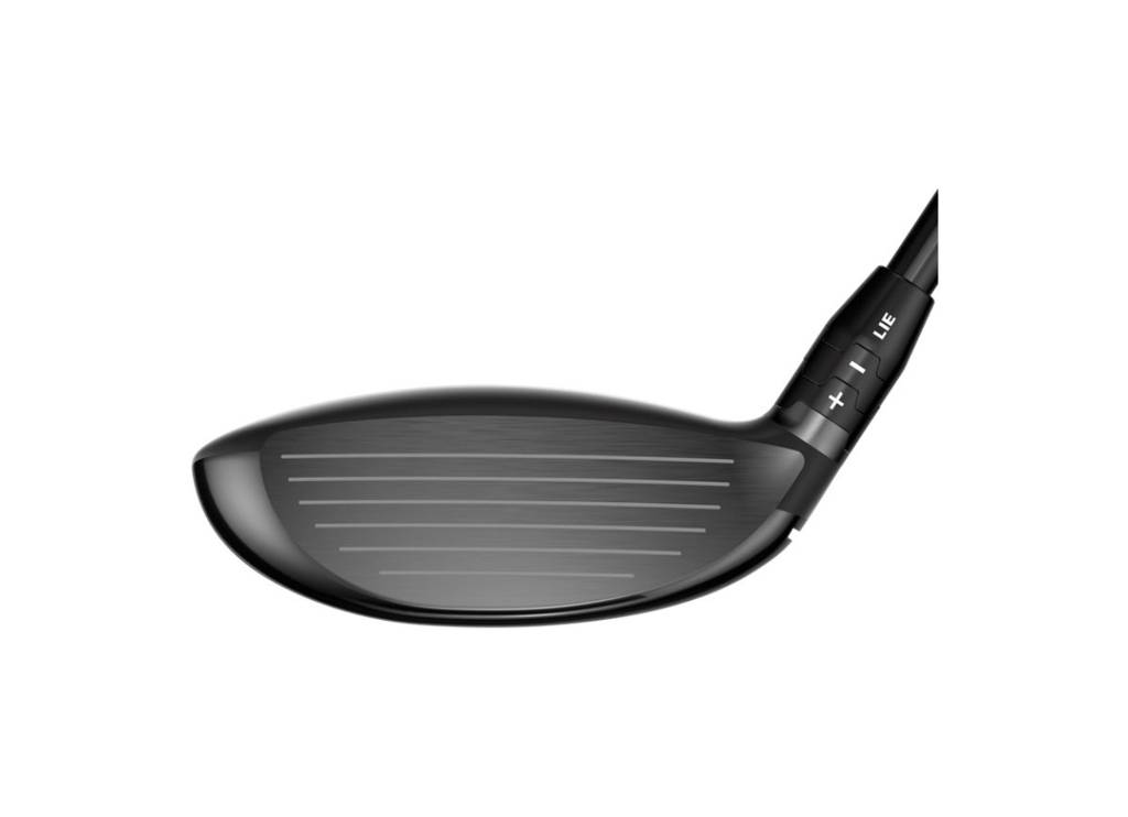 Quantum TD Brautartré